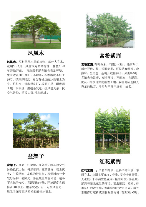 南方几种常见绿化植物介绍