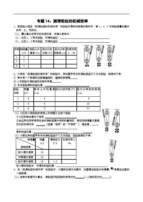 物理实验探究专题14 滑轮组机械效率