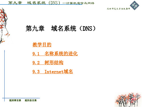 第九章 域名系统(DNS)