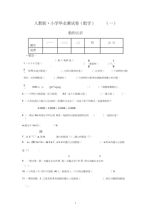 2020新人教版小学数学小升初毕业测试卷(含答案,49页)