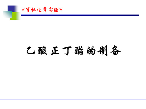 乙酸正丁酯的制备. 共15页