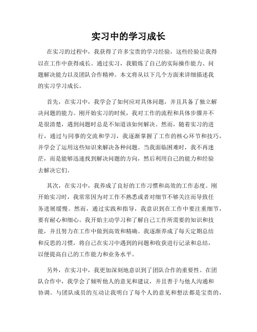 实习中的学习成长