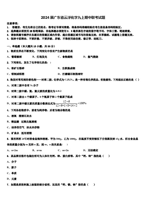 2024届广东省云浮化学九上期中联考试题含解析