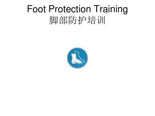 脚部防护培训Foot protection