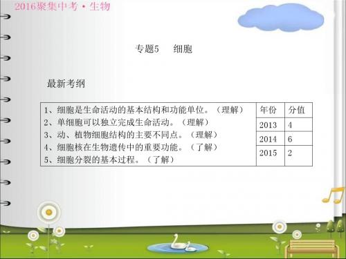 广东省人教版2018年初中生物中考复习课件专题5细胞共28张PPT