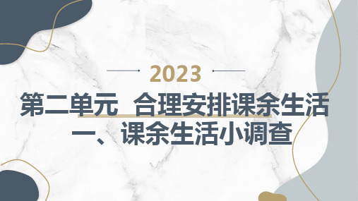 一课余生活小调查(课件)四年级上册综合实践活动