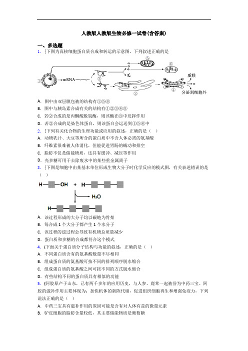 人教版人教版生物必修一试卷(含答案)