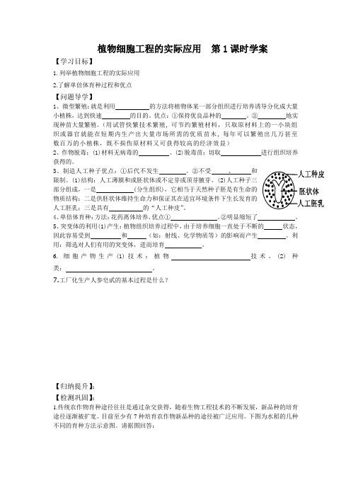 植物细胞工程的实际应用学案1