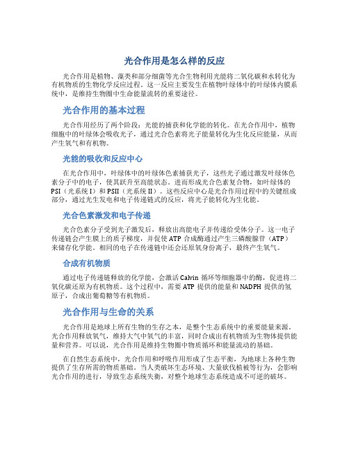 光合作用是怎么样的反应