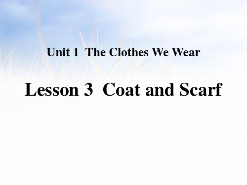 《Coat and Scarf》The Clothes We Wear 课件