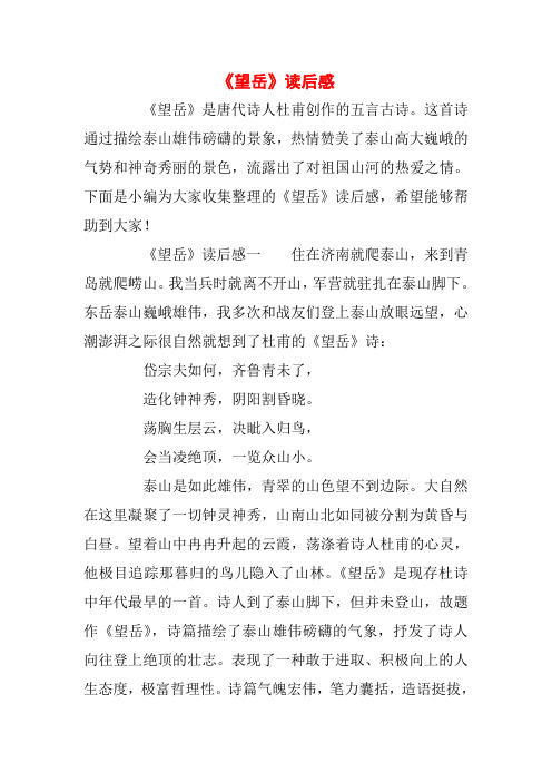 【精品】《望岳》读后感