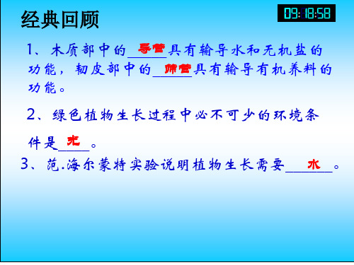 苏教版生物七年级上册3.6.2《植物光和作用的场所》