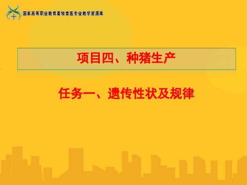 任务一猪的性状级遗传规律课件PPT资料优秀版