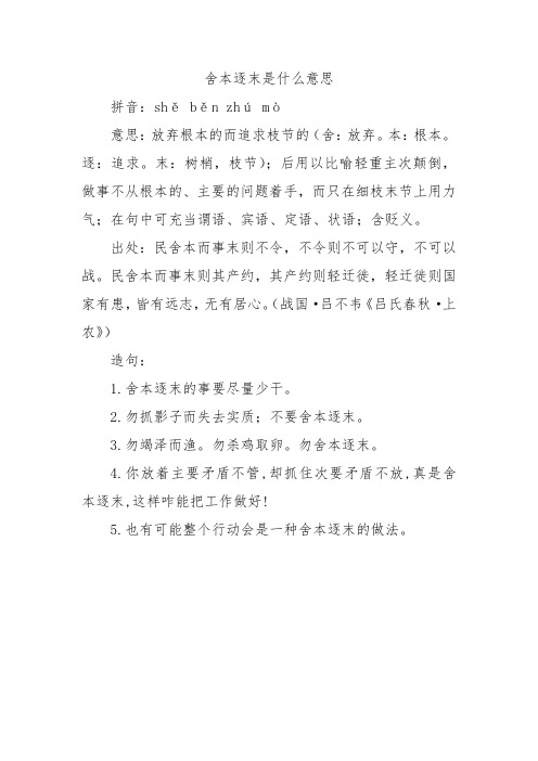 舍本逐末是什么意思