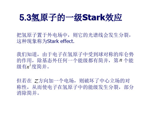 53氢原子的一级Stark效应