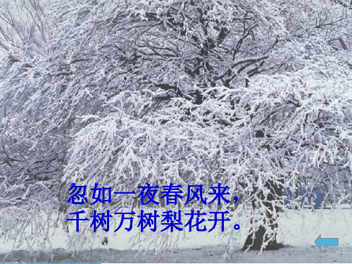 八年级语文《湖心亭看雪》ppt课件