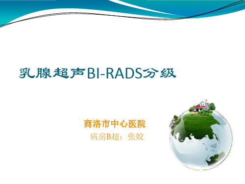 乳腺超声---BI-RADS分级PPT