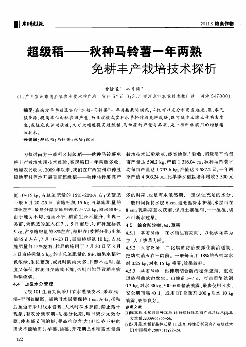 超级稻——秋种马铃薯一年两熟免耕丰产栽培技术探析