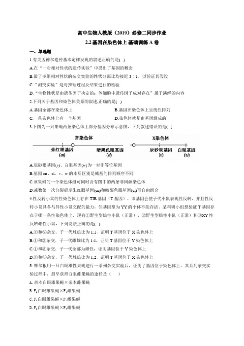 高中生物人教版(2019)必修二同步作业 2.2基因在染色体上 基础训练A卷