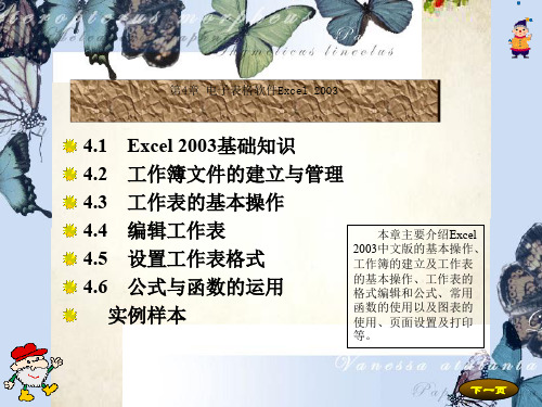 电子表格软件Excel2003知识培训(ppt 101页)