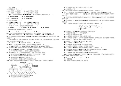 转录翻译试题