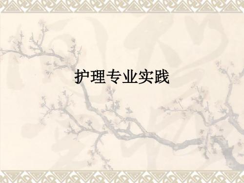 护理专业实践ppt课件