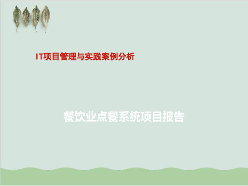 IT项目管理与实践案例分析PPT课件( 47页)