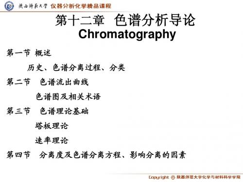 第12章  色谱分析导论 2011