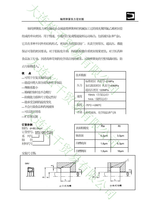 02.轴用弹簧张力密封SRV