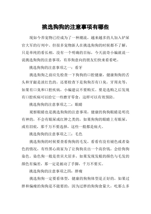挑选狗狗的注意事项有哪些