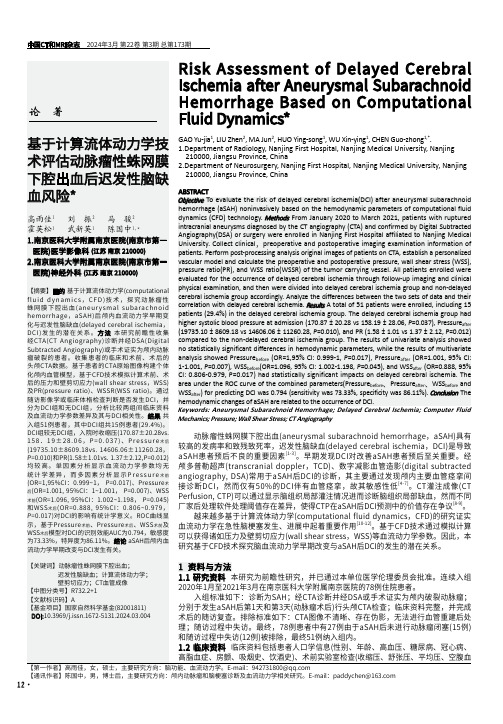 基于计算流体动力学技术评估动脉瘤性蛛网膜下腔出血后迟发性脑缺血风险