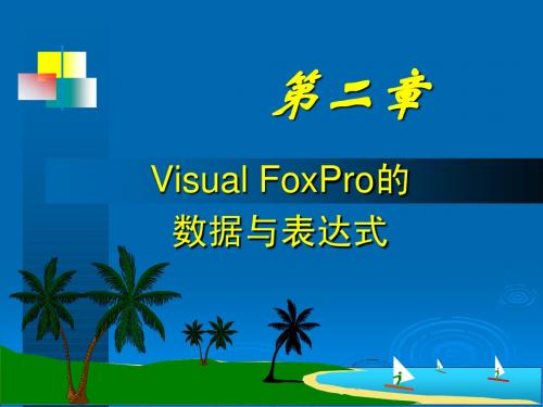 第2章 Visual FoxPro编程基础1