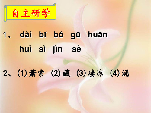 15、九年级语文上册 《故乡》练习册答案