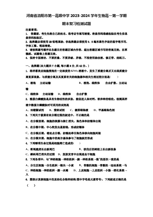 河南省洛阳市第一高级中学2023-2024学年生物高一第一学期期末复习检测试题含解析