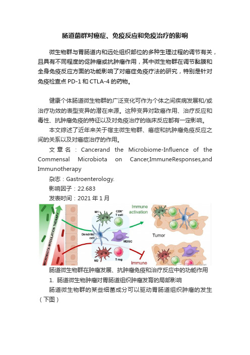 肠道菌群对癌症、免疫反应和免疫治疗的影响