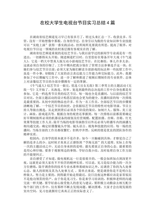 在校大学生电视台节目实习总结4篇