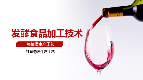 发酵食品生产技术：红葡萄酒生产工艺