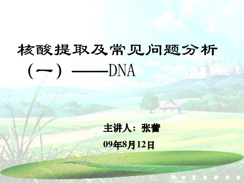 DNA提取及常见问题分析解析