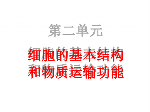 人教版高中生物必修一细胞膜—系统的边界-生物膜的流动镶嵌模型-物质跨膜运输的方式-ppt精品课件