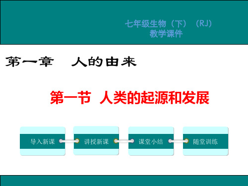 人教版七年级生物下册第四单元第一章人的由来PPT