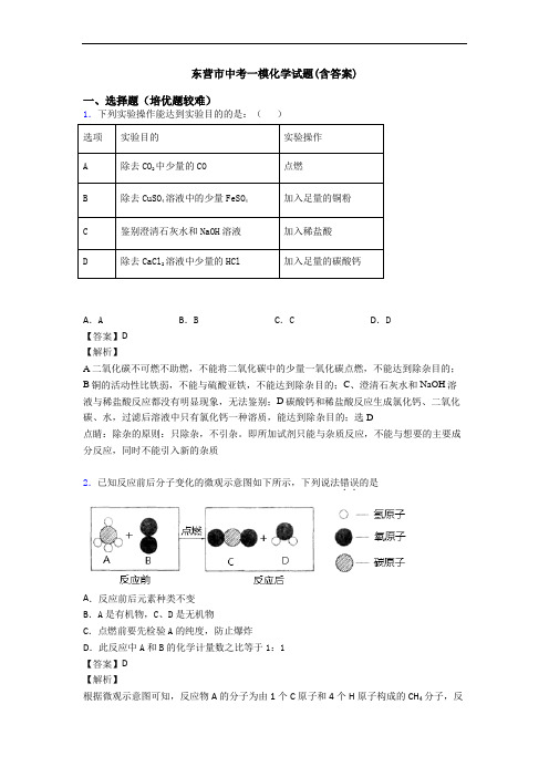 东营市中考一模化学试题(含答案)