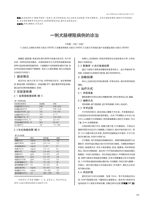 一例犬肠梗阻病例的诊治