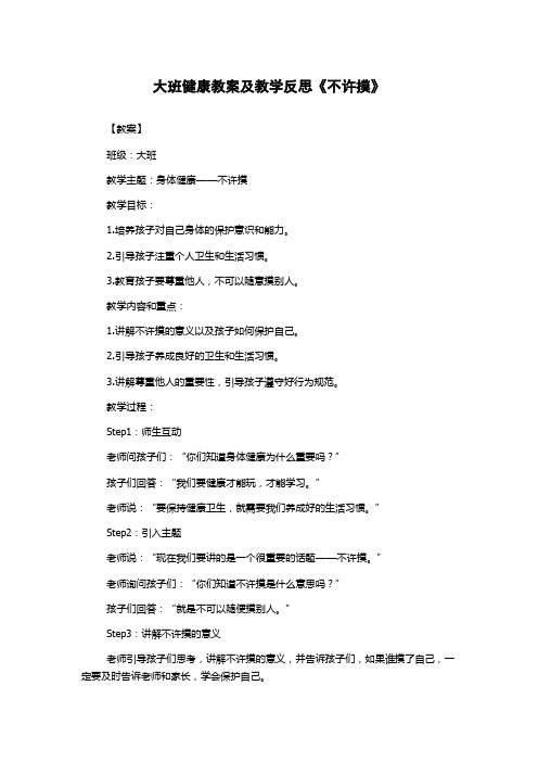 大班健康教案及教学反思《不许摸》