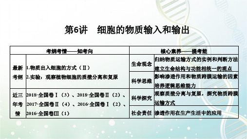 高三生物一轮复习优质课件：细胞的物质输入和输出