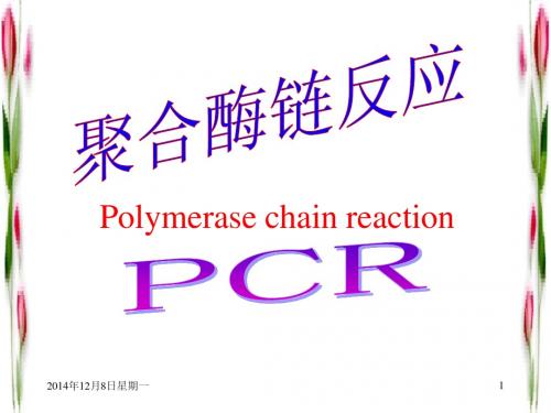 分子生物学-聚合酶链反应(PCR)