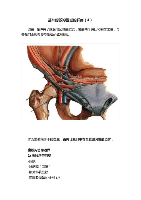 基础腹股沟区域的解剖（4）