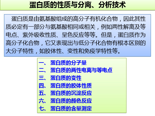 高中生物竞赛课件：蛋白质的性质与分离、分析技术