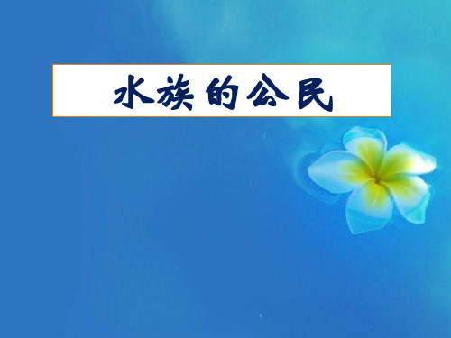 水族的公民-多种多样的动物精品PPT