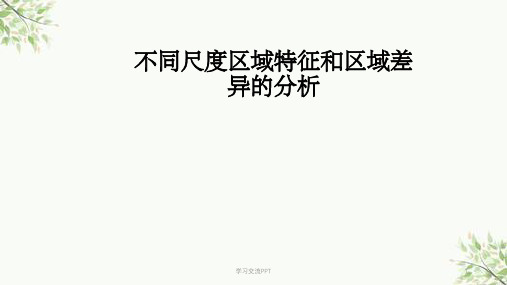 不同尺度区域特征和区域差异的分析课件