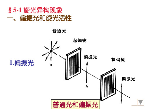 光学异构对映异构体